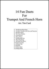 14 Fun Duets P.O.D. cover Thumbnail